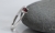 50ec3ddc45d1b402258bfb51481f005b