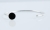 f8bae0ec6a0bc2612e23354cbfea3aaa