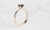 9fae5bb89553f3b9888d9aef43ef71e1